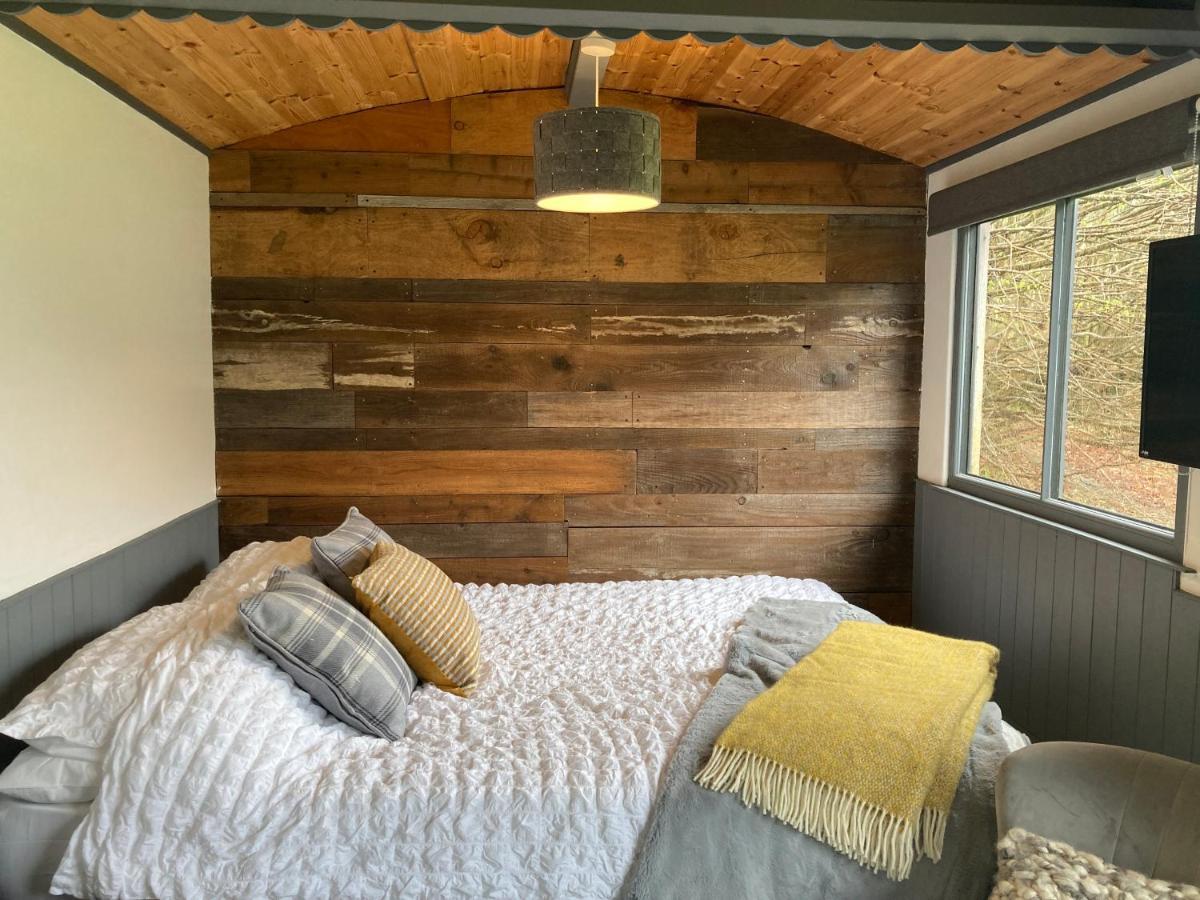 Cefn Crib Cabins 매킨레스 외부 사진