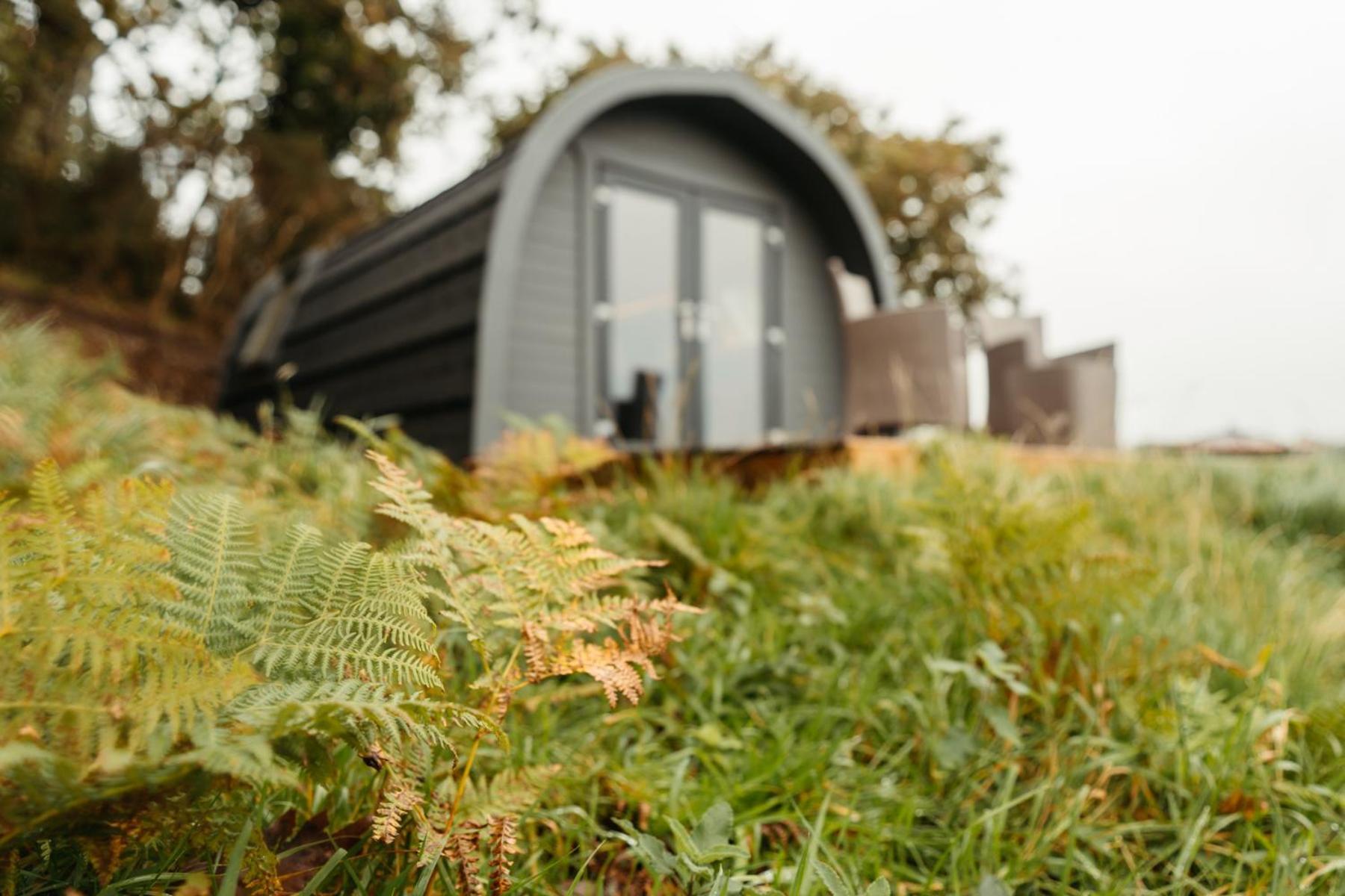 Cefn Crib Cabins 매킨레스 외부 사진